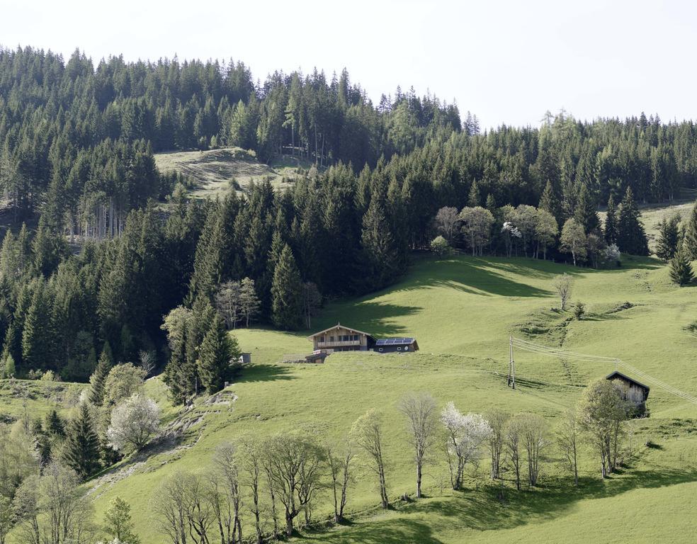 Das Hochkoenig Dienten am Hochkönig Εξωτερικό φωτογραφία