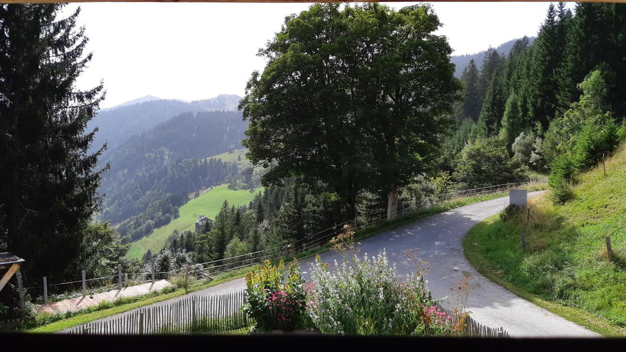 Das Hochkoenig Dienten am Hochkönig Εξωτερικό φωτογραφία